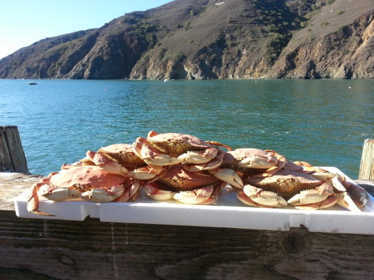 Olde Port Seafood