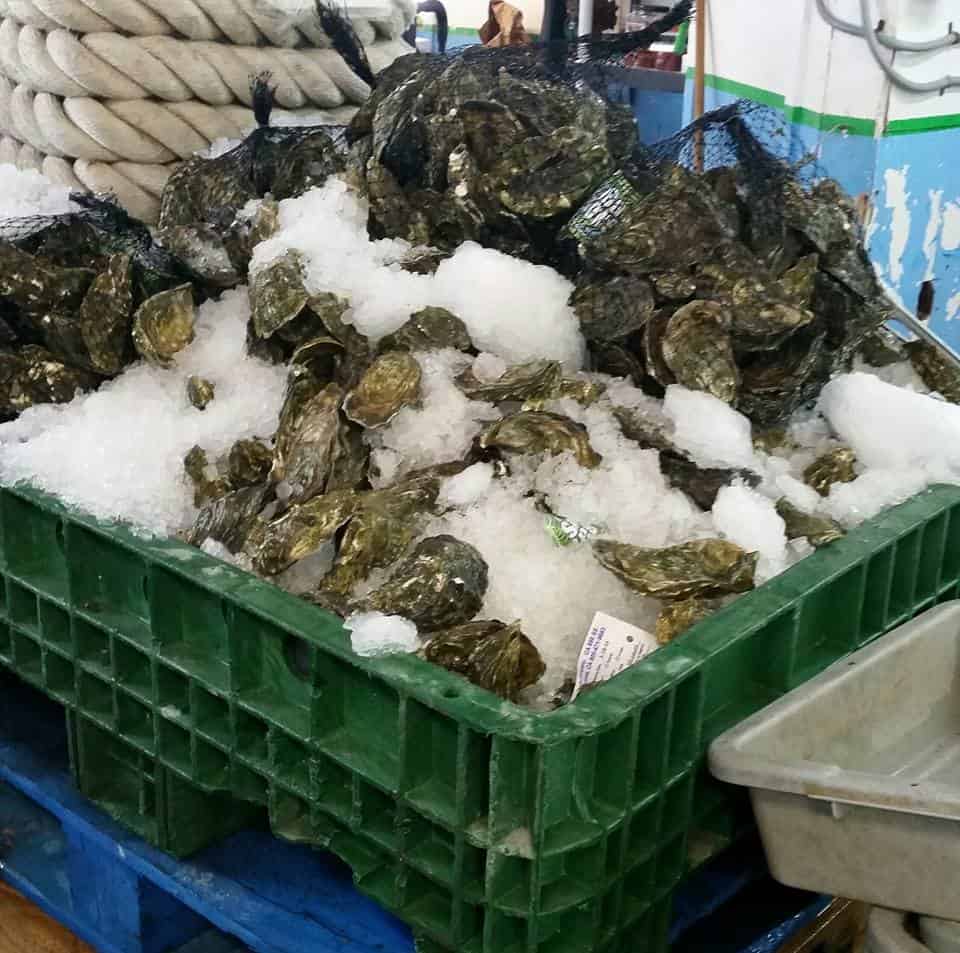 Olde Port Seafood