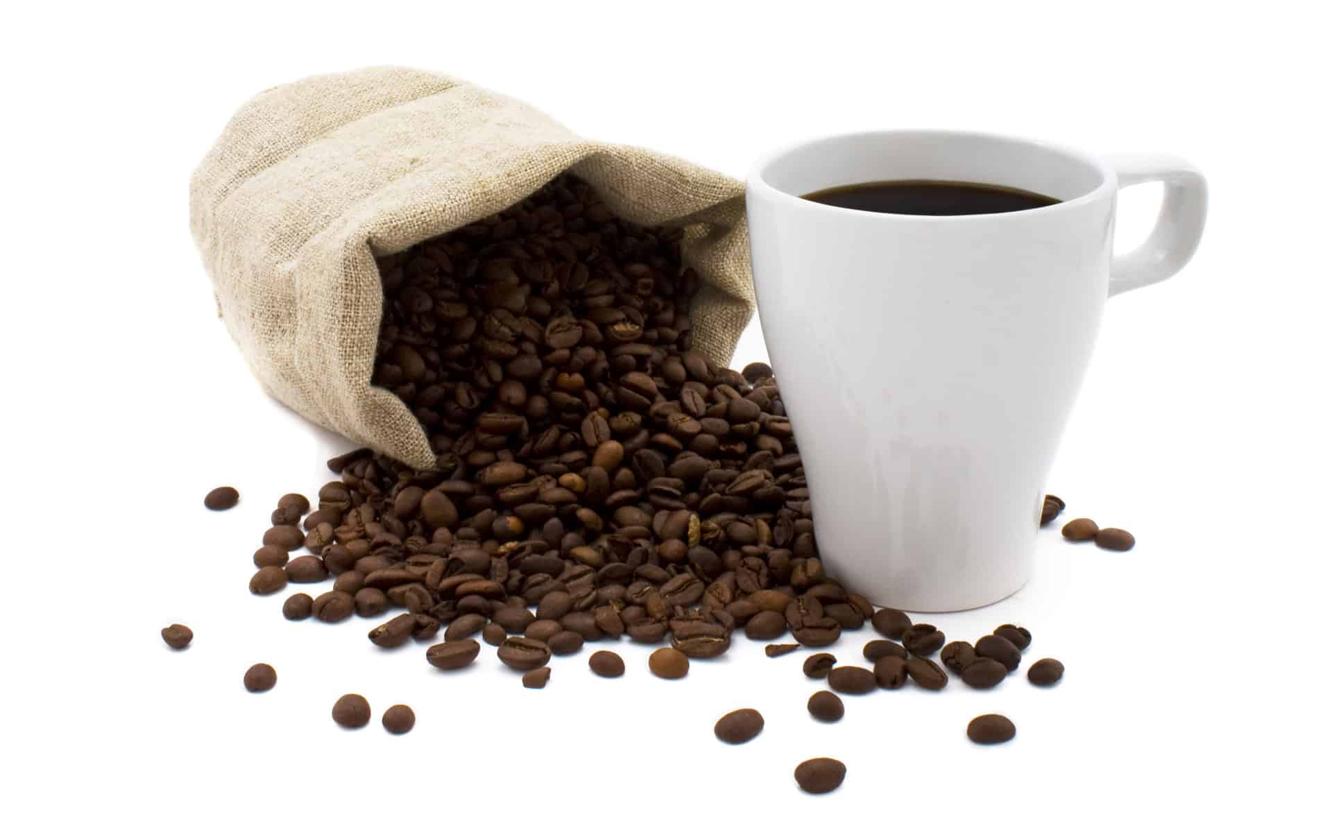 Mojo's Village Bean
