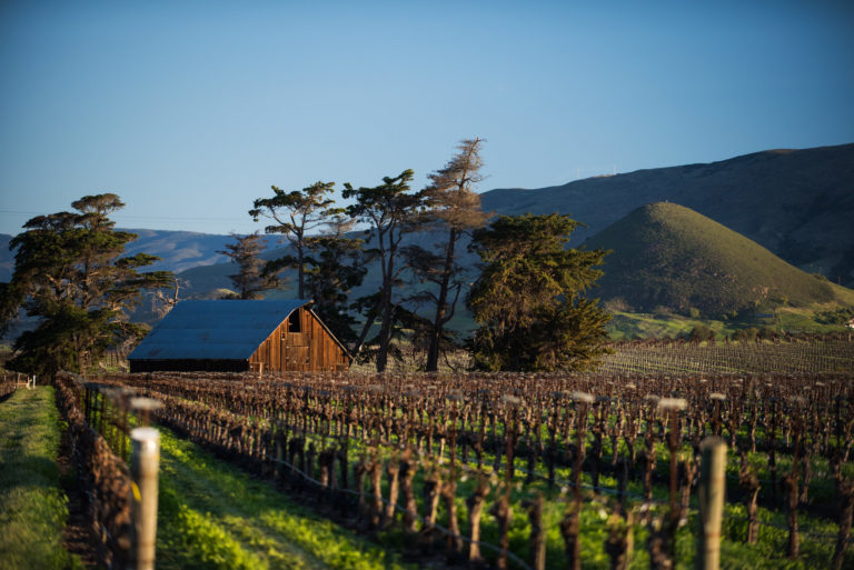 Edna Valley
