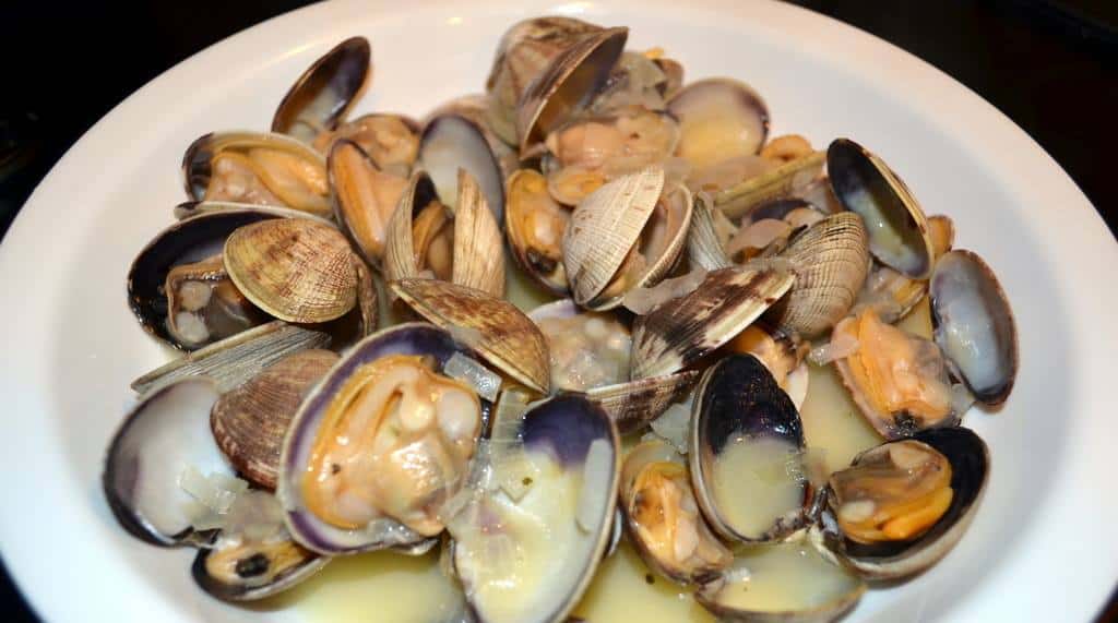 Shell Cafe