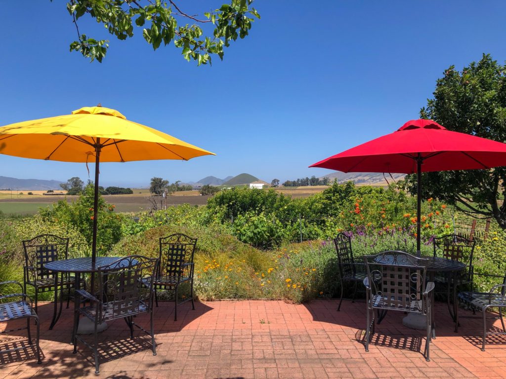 Wolff Vineyards