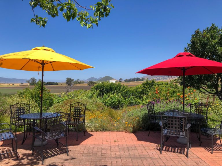 Wolff Vineyards