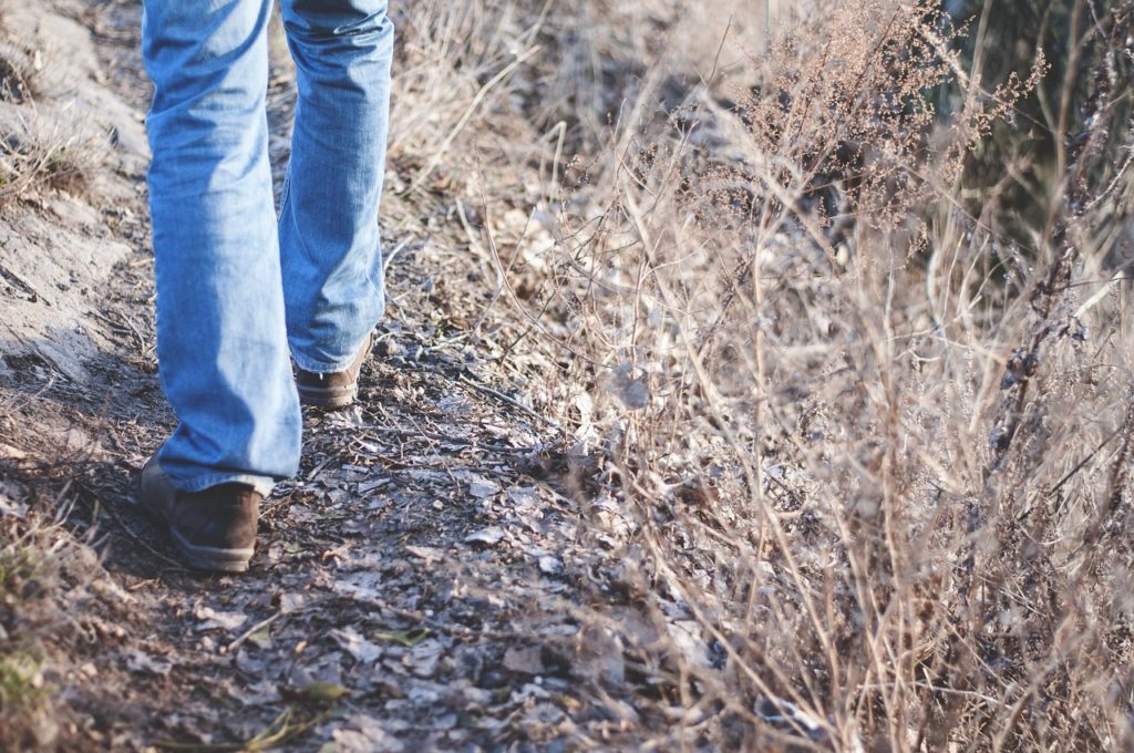 hiking trail