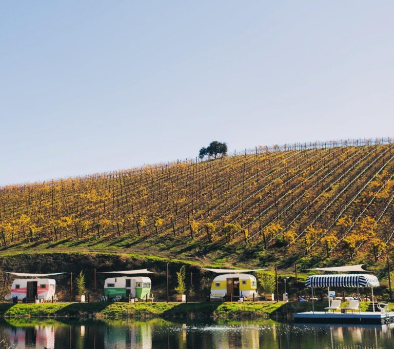 Alta Colina Vineyards