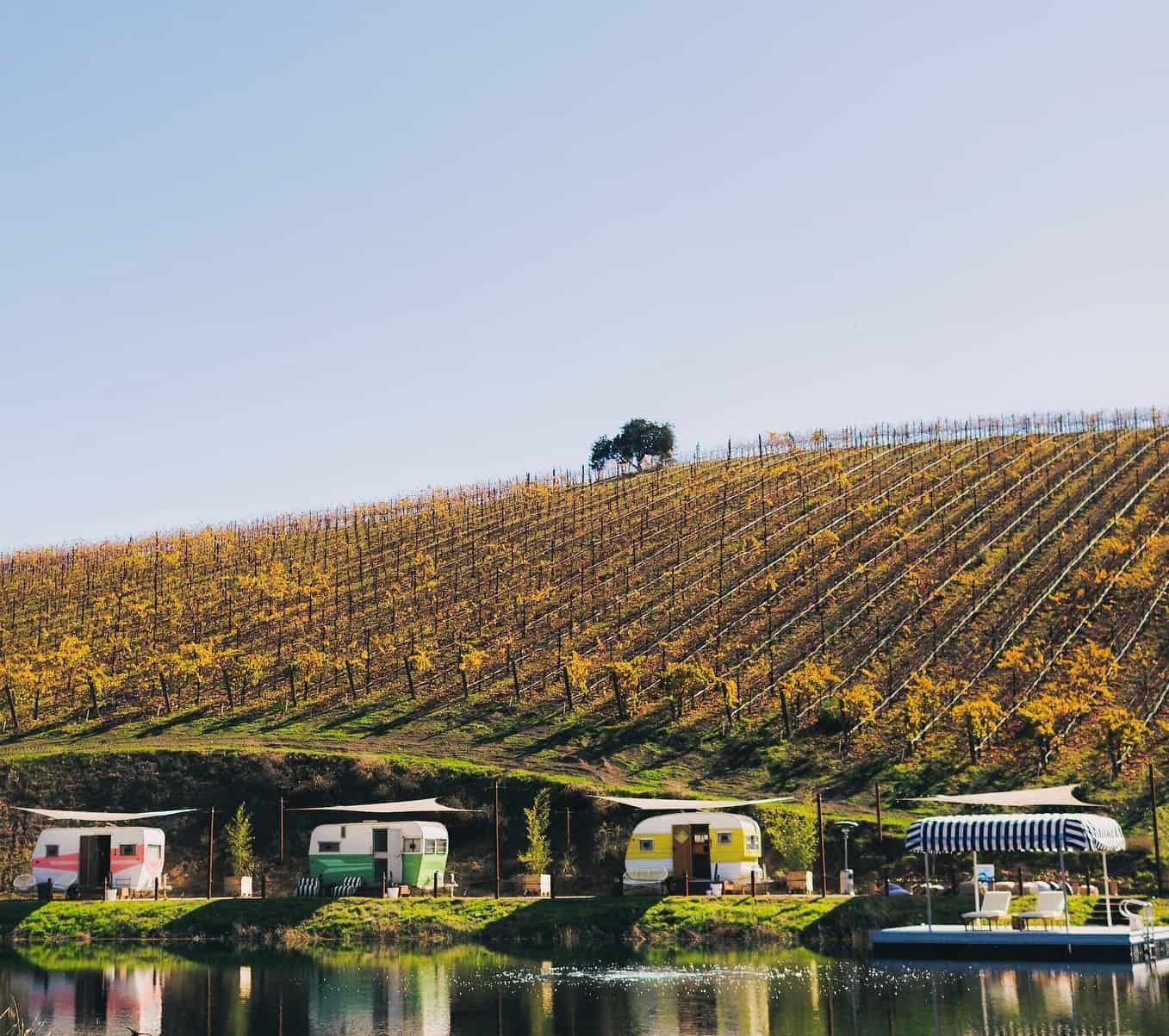 Alta Colina Vineyards