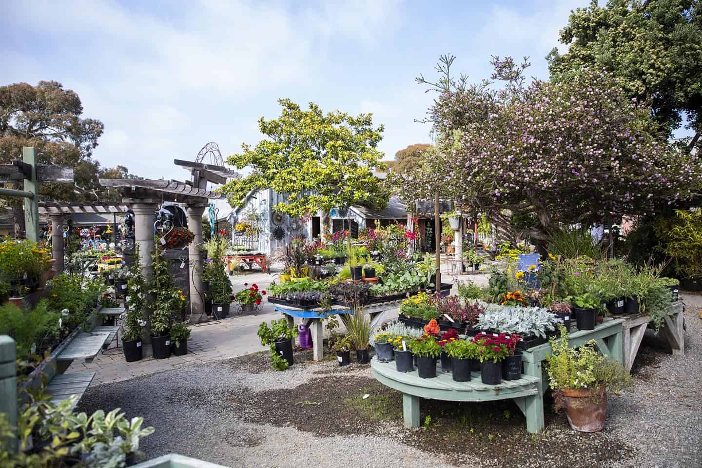 Cambria Nursery and Florist