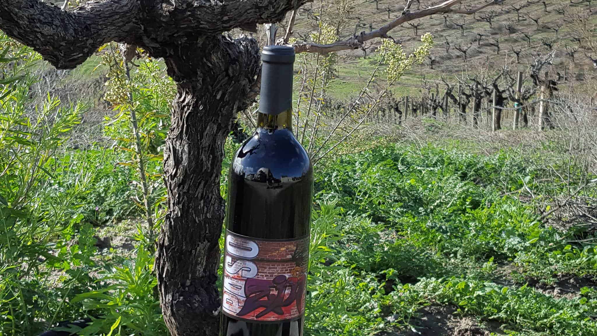 Christian Lazo Wines
