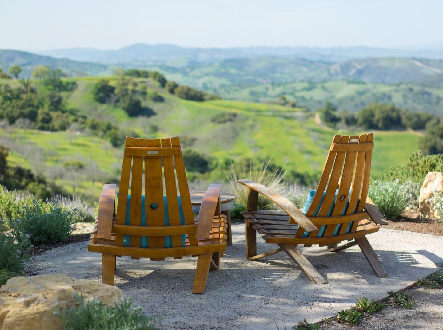 Daou Vineyards