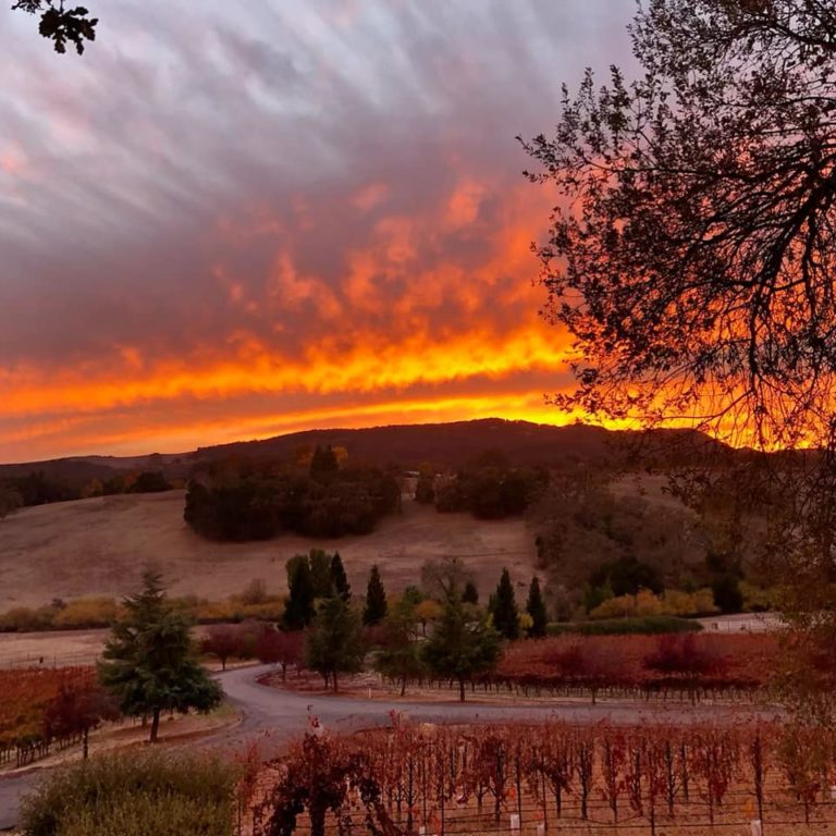 Denner Vineyards