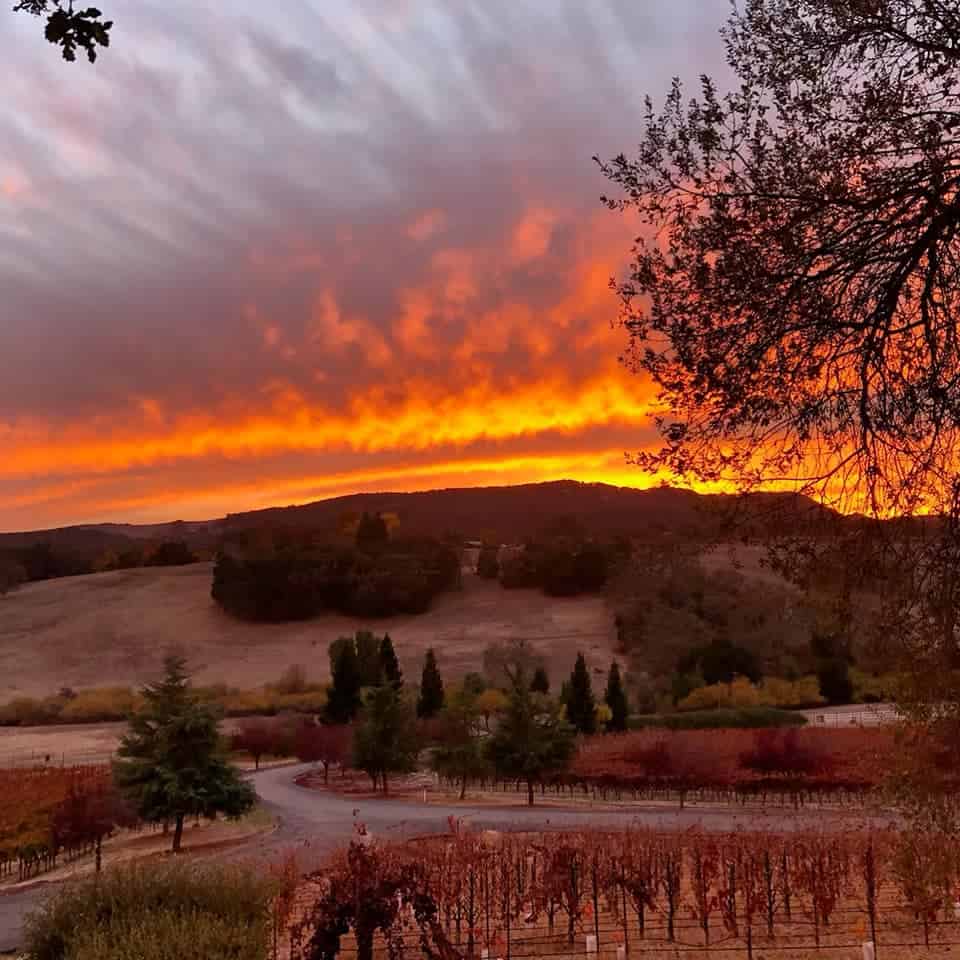 Denner Vineyards