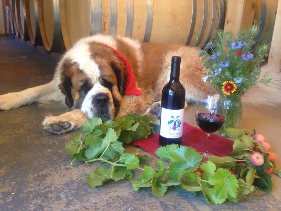 Dover Canyon Wines