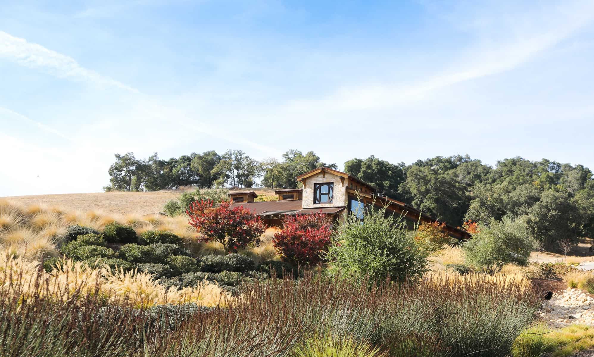 Halter Ranch Vineyard