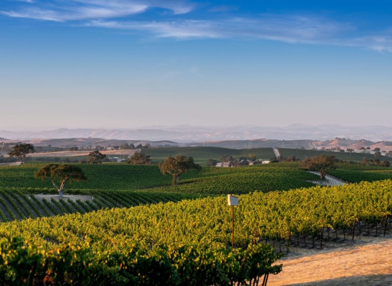 J Lohr Vineyards & Winery