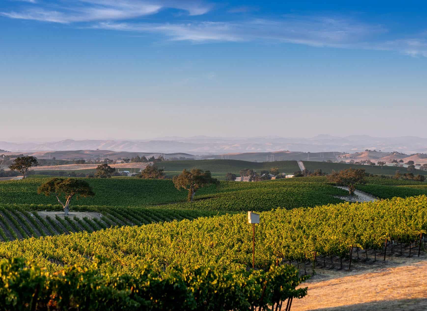 J Lohr Vineyards & Winery