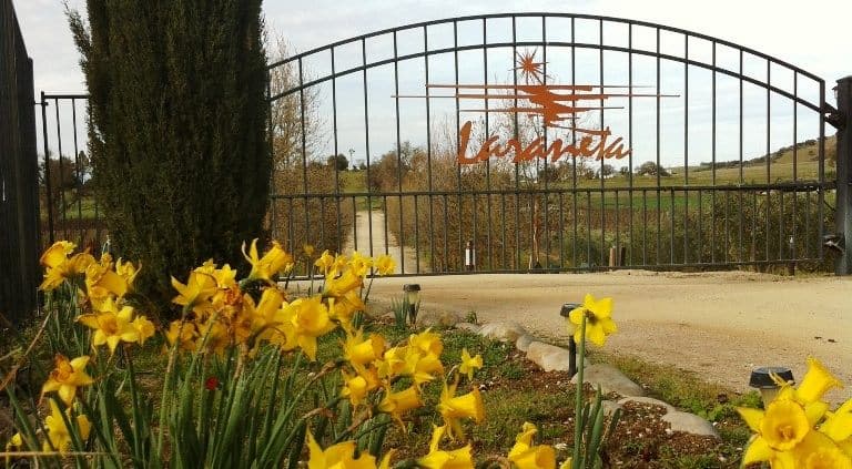 Laraneta Winery