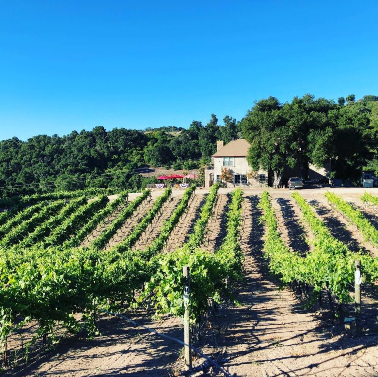 Michael Gill Cellars