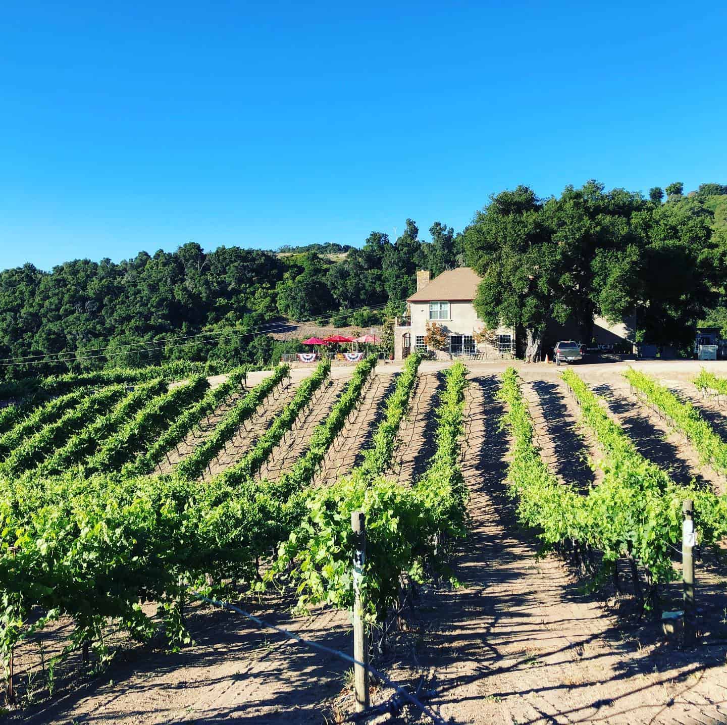 Michael Gill Cellars