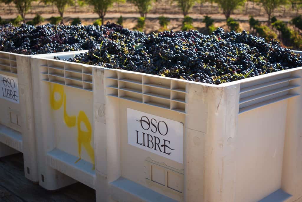 Oso Libre Winery