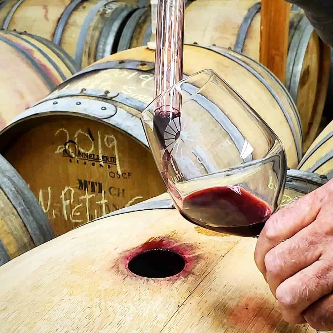Ranchita Canyon Vineyard