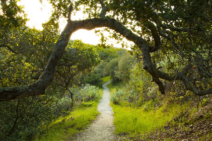 Reservoir Canyon