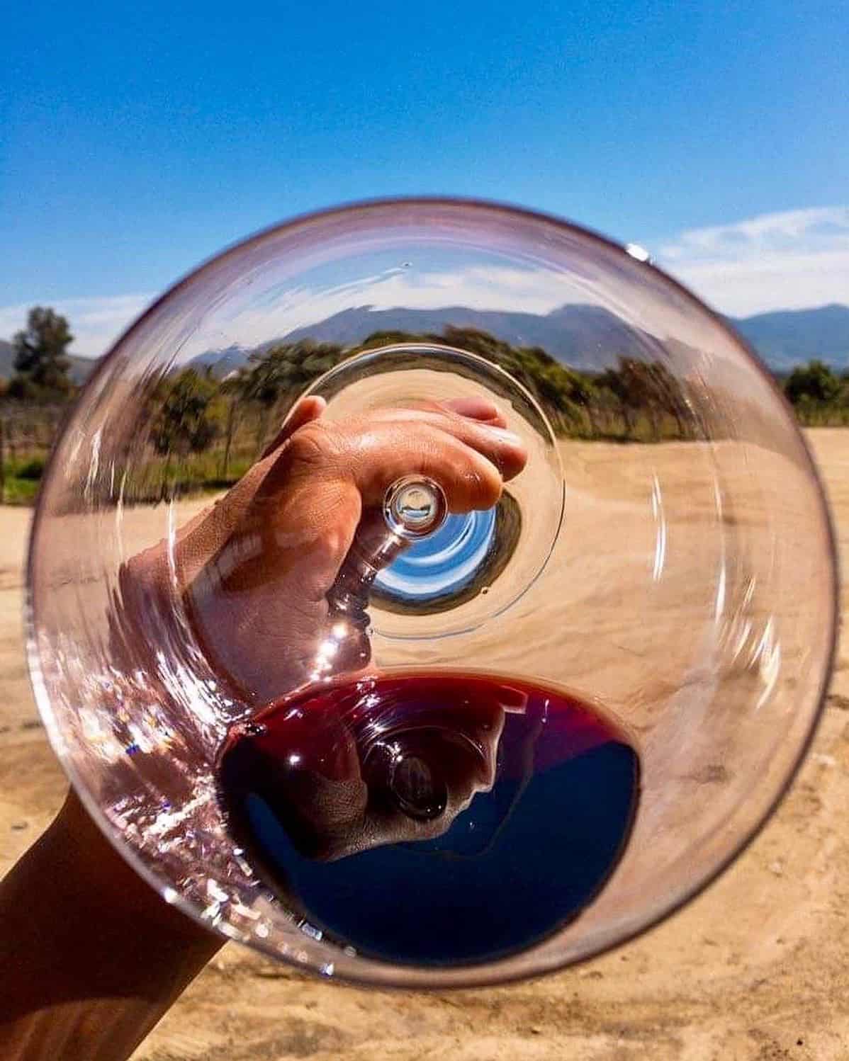 Treana winery