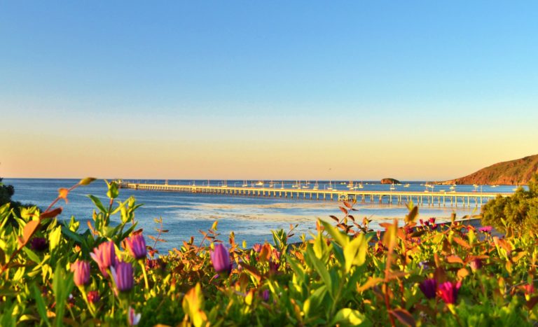 Avila Bay & Pier