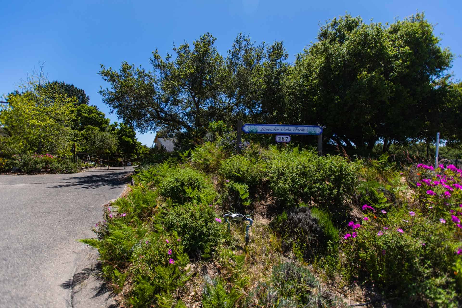 287 Summit Station, Arroyo Grande