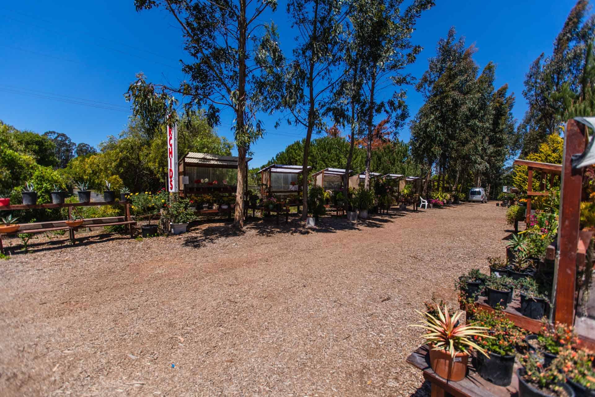 407 Victory Way, Arroyo Grande