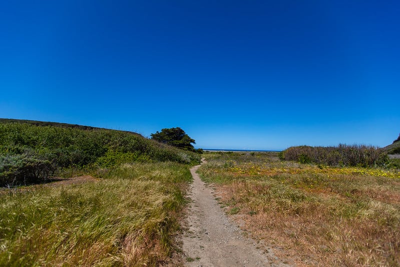 San Carpoforo Creek Trail, Cambria
