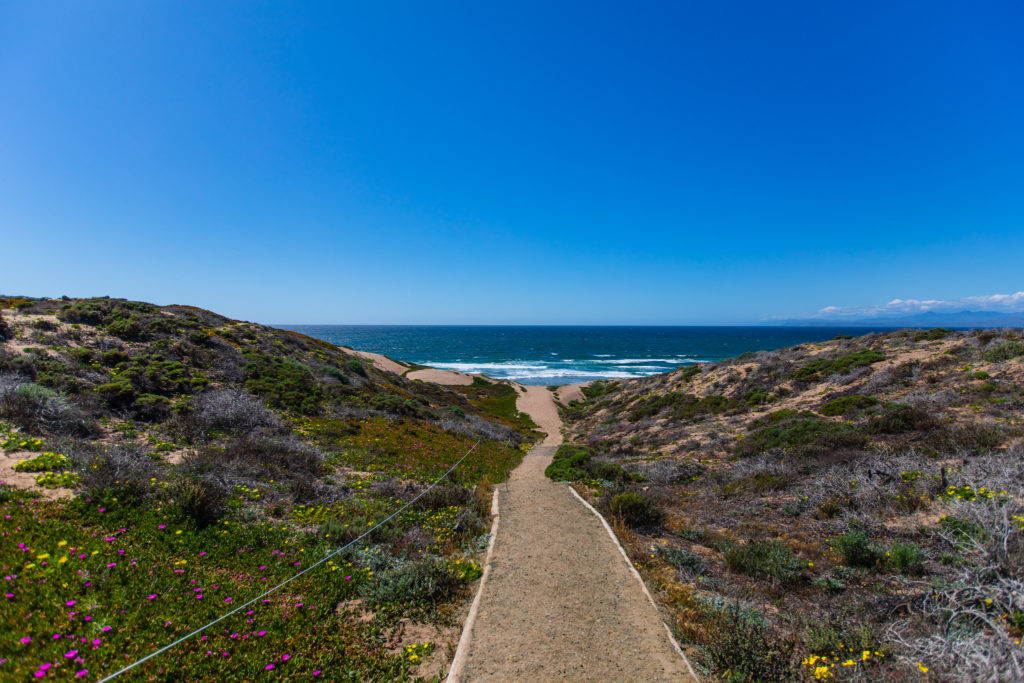 Sandspit Beach Los Osos Montana de Oro
