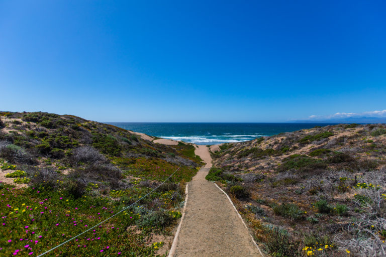 Sandspit Beach Los Osos Montana de Oro