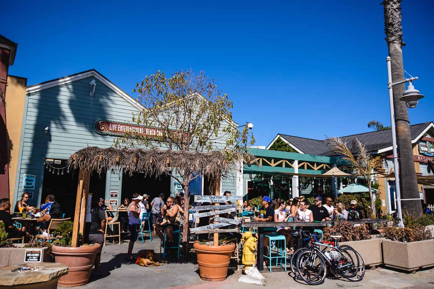 Mr Ricks Avila Beach Downtown