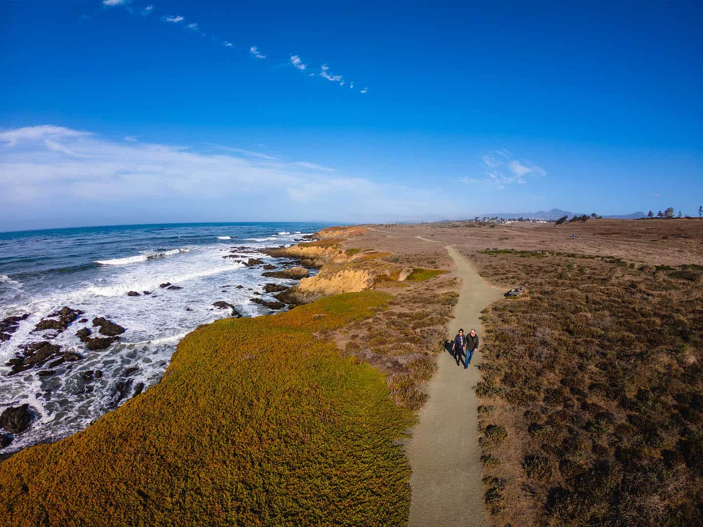 Fiscalini Ranch Cambria