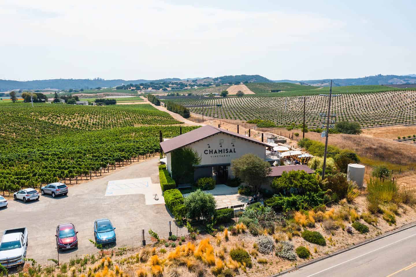 Chamisal Vineyard