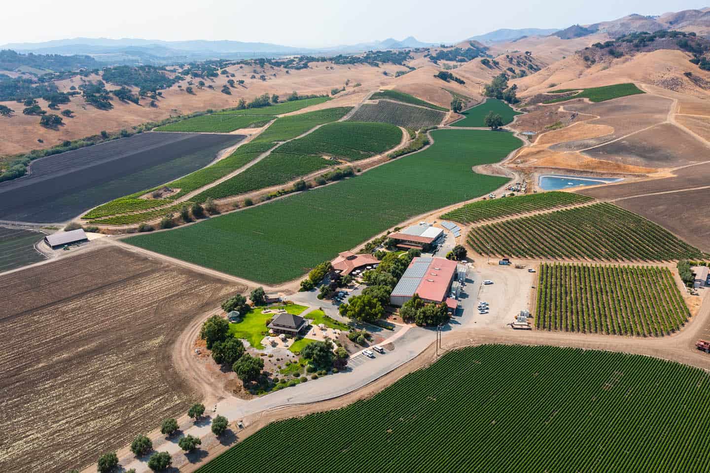Talley Vineyards