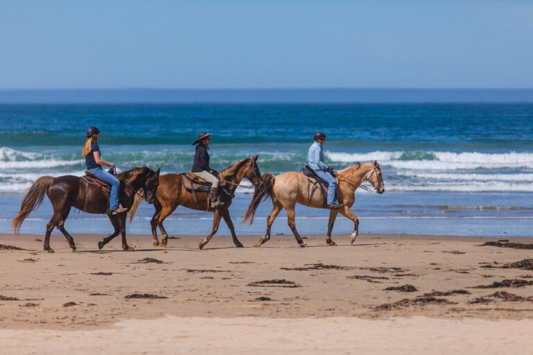 Links to Horseback Riding
