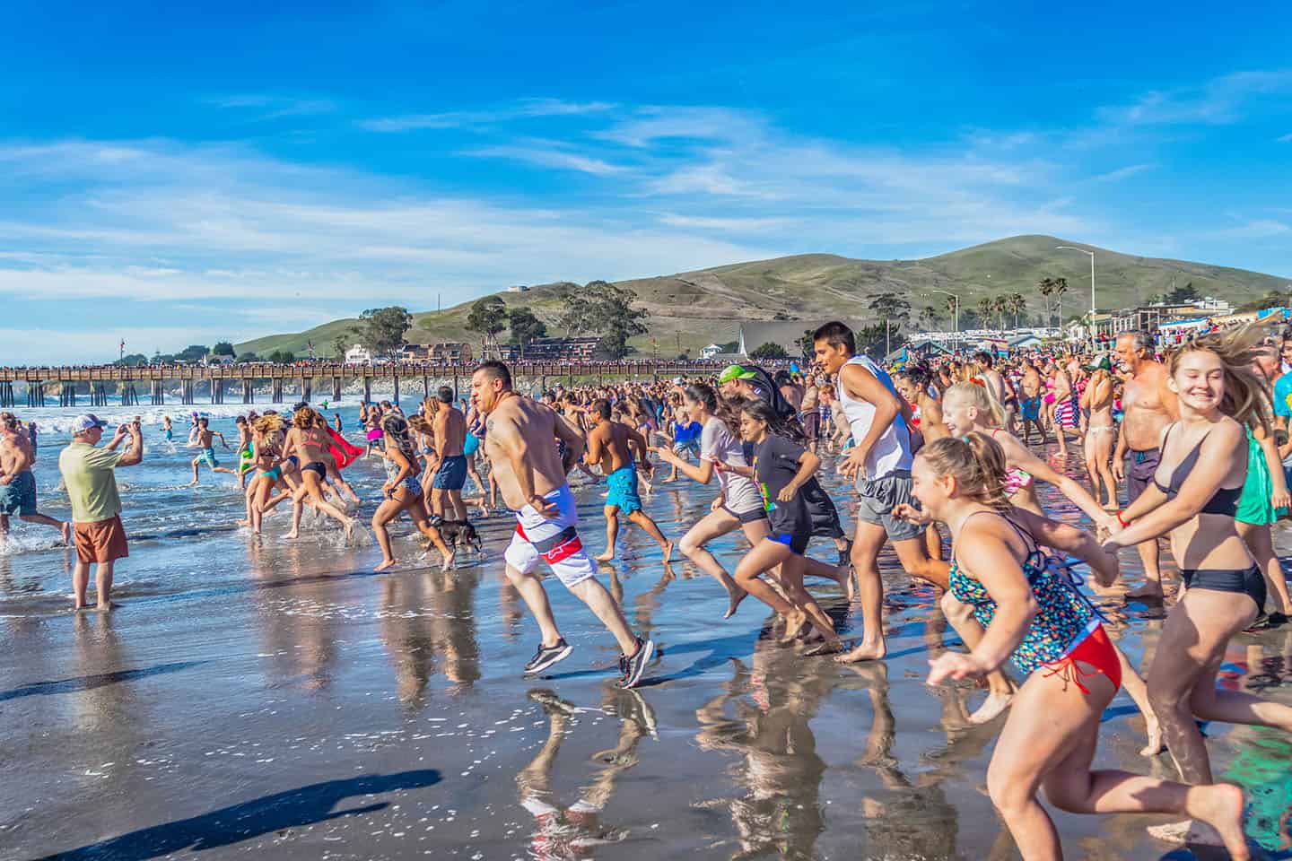 Cayucos Polar Bear Dip