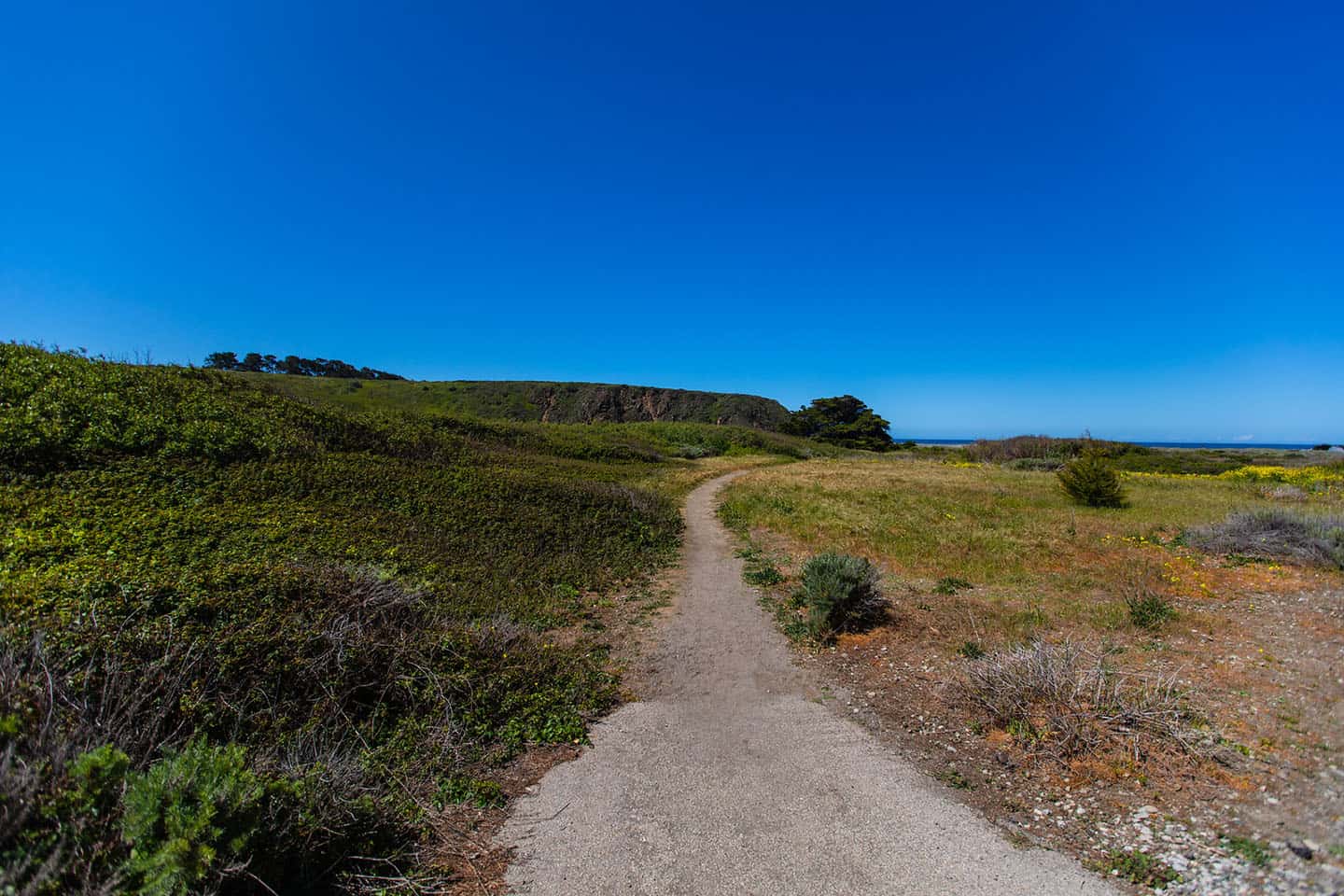 San Carpoforo Creek Trail