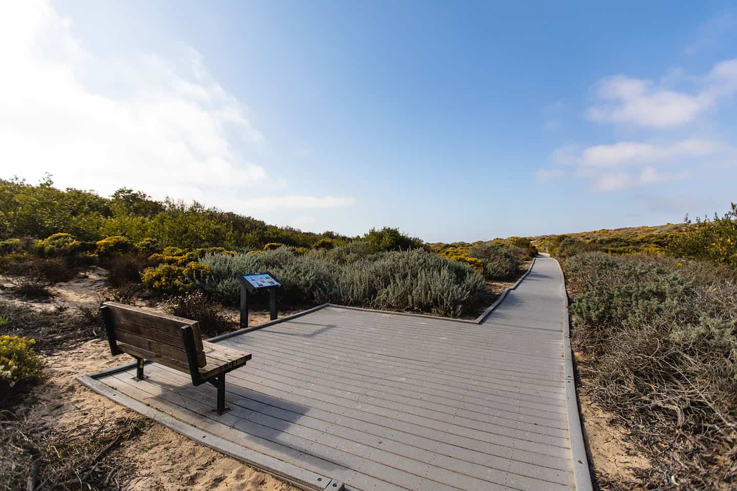Oso Flaco Lake Bench and Boardwalk