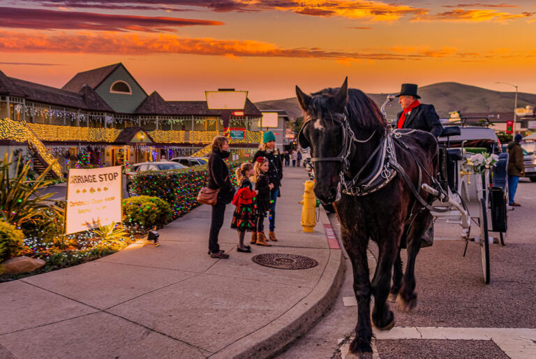 Cayucos Christmas Open House