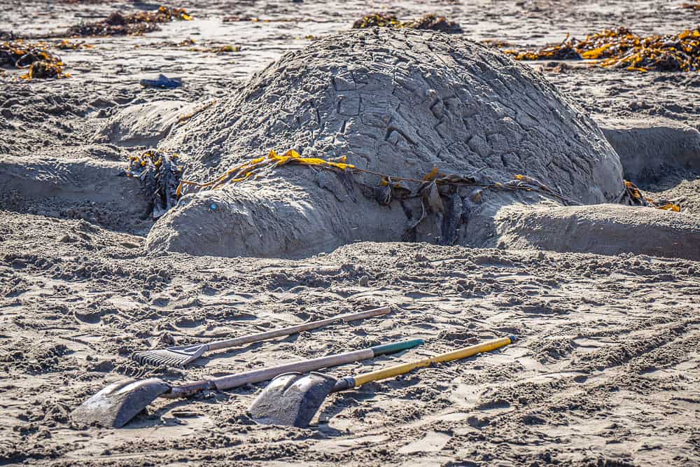 Sandcastle turtle