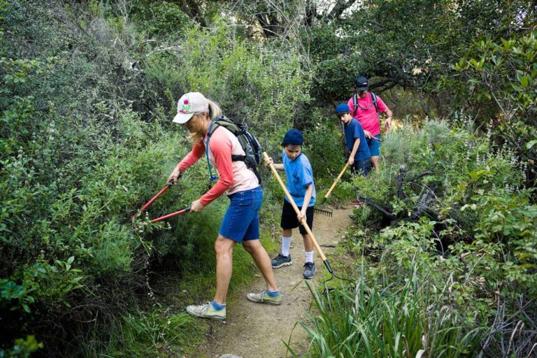 Stewardship Trail Cleanup