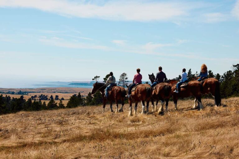 A group riding Clydesdale horses near the coast