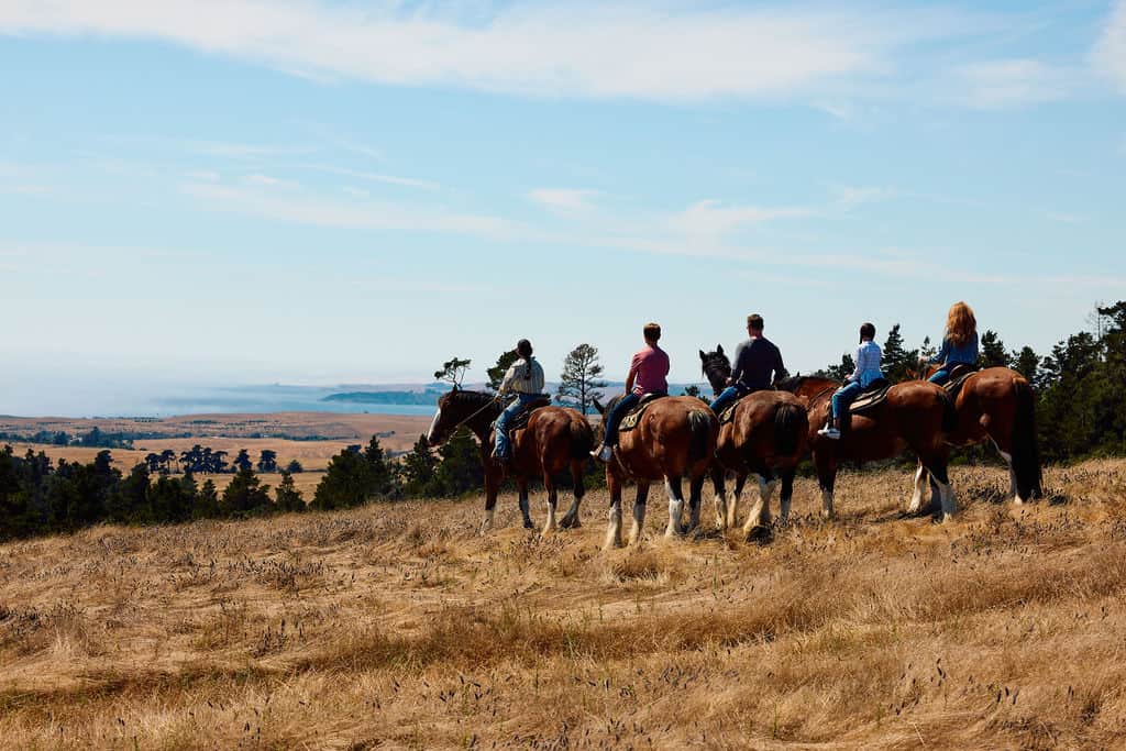 A group riding Clydesdale horses near the coast
