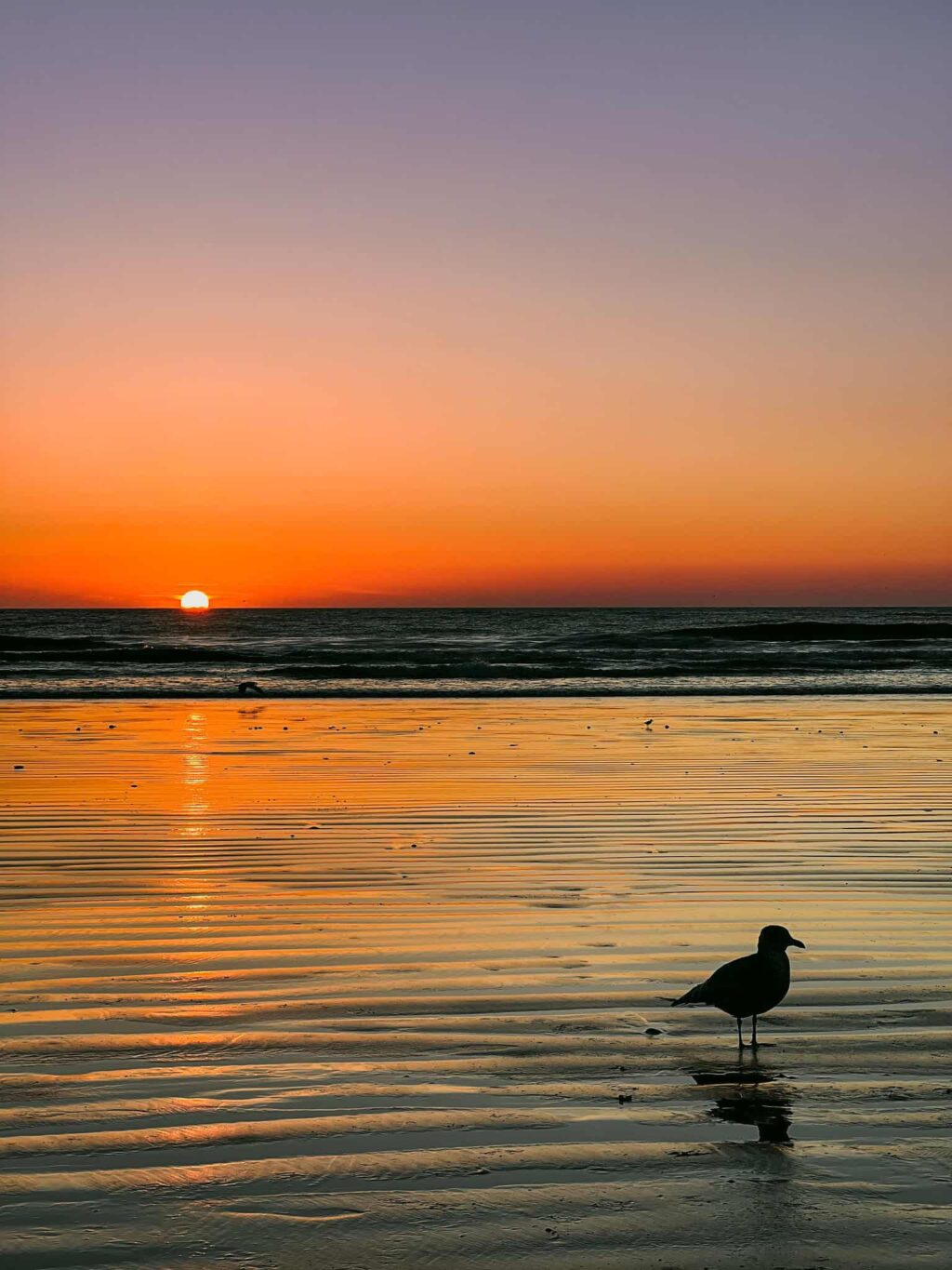 Sunset Oceano