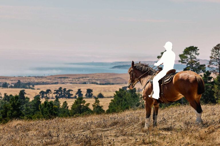 Person on horseback on a hill overlooking the ocean