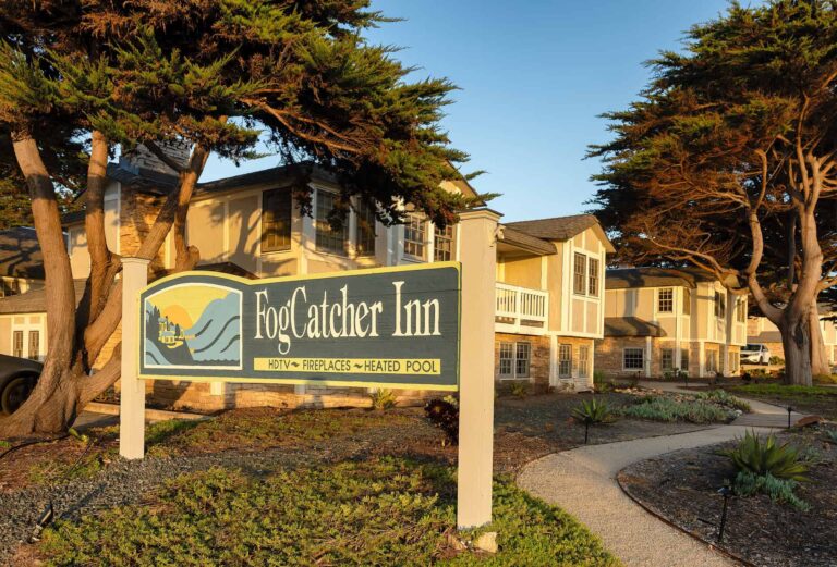 FogCatcher Inn