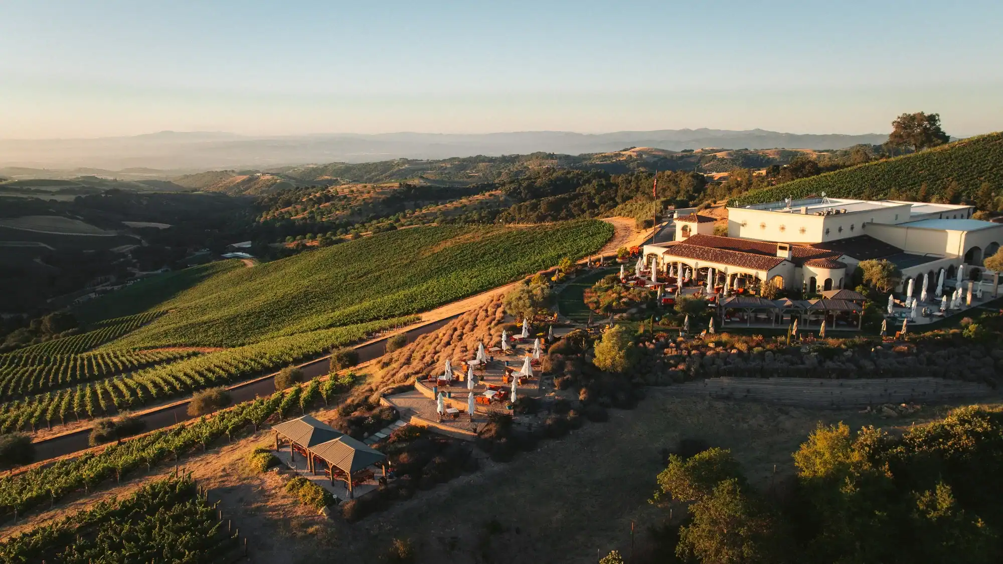 daou Daou family estates