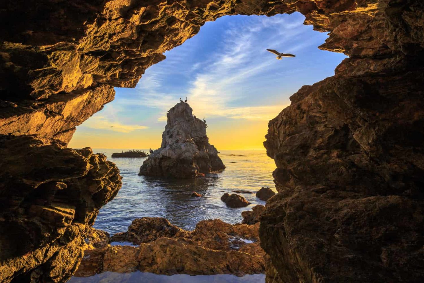 Arcadian Adventures – Pismo Beach Arcadian Adventures